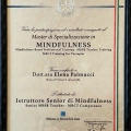 Ingrandire l'immagine: certificate 1