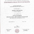 Ingrandire l'immagine: certificate 4