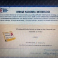 Ingrandire l'immagine: certificate 1