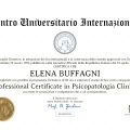 Ingrandire l'immagine: certificate 2