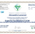 Ingrandire l'immagine: certificate 5