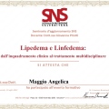Ingrandire l'immagine: certificate 9