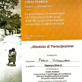 Ingrandire l'immagine: certificate 9