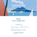 Ingrandire l'immagine: certificate 7