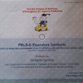 Ingrandire l'immagine: certificate 4