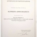 Ingrandire l'immagine: certificate 12