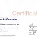 Ingrandire l'immagine: certificate 6