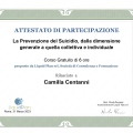Ingrandire l'immagine: certificate 6
