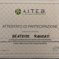 Ingrandire l'immagine: certificate 14