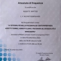 Ingrandire l'immagine: certificate 1