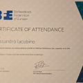 Ingrandire l'immagine: certificate 3
