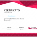 Ingrandire l'immagine: certificate 4