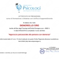 Ingrandire l'immagine: certificate 1