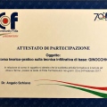 Ingrandire l'immagine: certificate 13