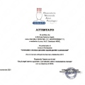 Ingrandire l'immagine: certificate 4