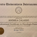 Ingrandire l'immagine: certificate 2