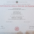 Ingrandire l'immagine: certificate 1