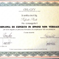 Ingrandire l'immagine: certificate 8
