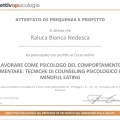 Ingrandire l'immagine: certificate 1