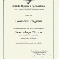 Ingrandire l'immagine: certificate 2