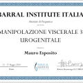 Ingrandire l'immagine: certificate 5