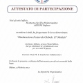 Ingrandire l'immagine: certificate 4