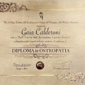 Ingrandire l'immagine: certificate 1