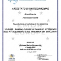 Ingrandire l'immagine: certificate 7