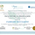 Ingrandire l'immagine: certificate 1