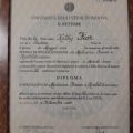 Ingrandire l'immagine: certificate 3
