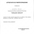 Ingrandire l'immagine: certificate 58