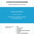 Ingrandire l'immagine: certificate 5