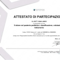 Ingrandire l'immagine: certificate 21