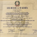 Ingrandire l'immagine: certificate 1