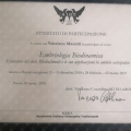 Ingrandire l'immagine: certificate 20