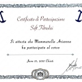 Ingrandire l'immagine: certificate 10