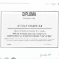 Ingrandire l'immagine: certificate 3