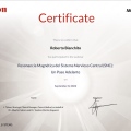 Ingrandire l'immagine: certificate 5