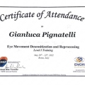 Ingrandire l'immagine: certificate 1