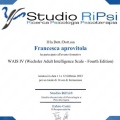 Ingrandire l'immagine: certificate 3