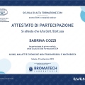 Ingrandire l'immagine: certificate 6