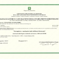 Ingrandire l'immagine: certificate 2