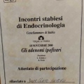 Ingrandire l'immagine: certificate 1
