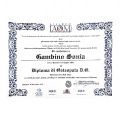 Ingrandire l'immagine: certificate 1