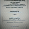 Ingrandire l'immagine: certificate 11