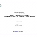 Ingrandire l'immagine: certificate 9