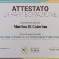 Ingrandire l'immagine: certificate 5