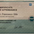 Ingrandire l'immagine: certificate 5