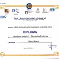 Ingrandire l'immagine: certificate 4