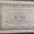 Ingrandire l'immagine: certificate 2